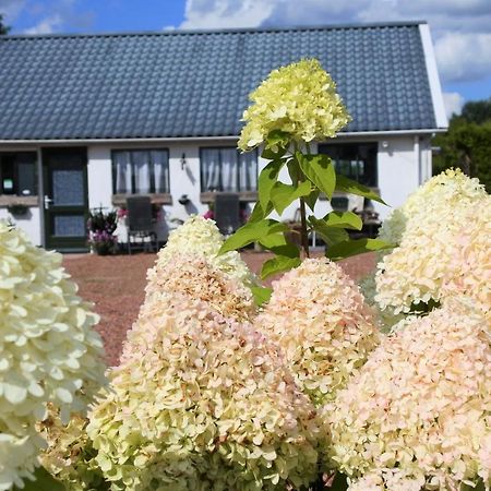 Sfeervol Appartement Het Knooppunt Нейс Екстер'єр фото